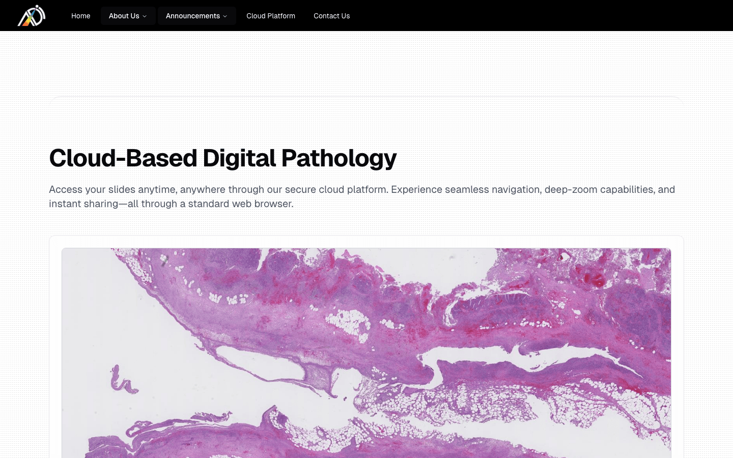 Albany Advanced Digital Imaging cloud pathology slide viewer